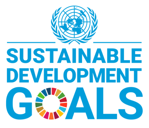 Logo Sustainable Development Goals