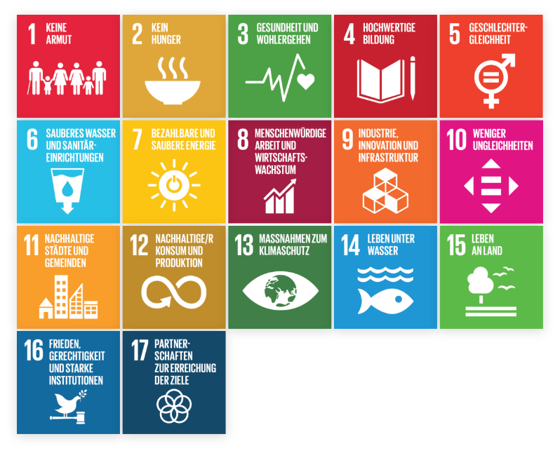 Die Sustainable Development Goals