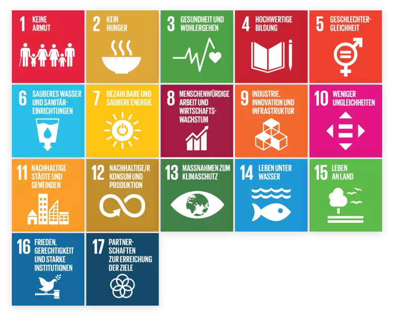 Die Sustainable Development Goals