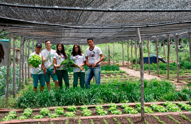 Schulpartnerprojekt Brasilien