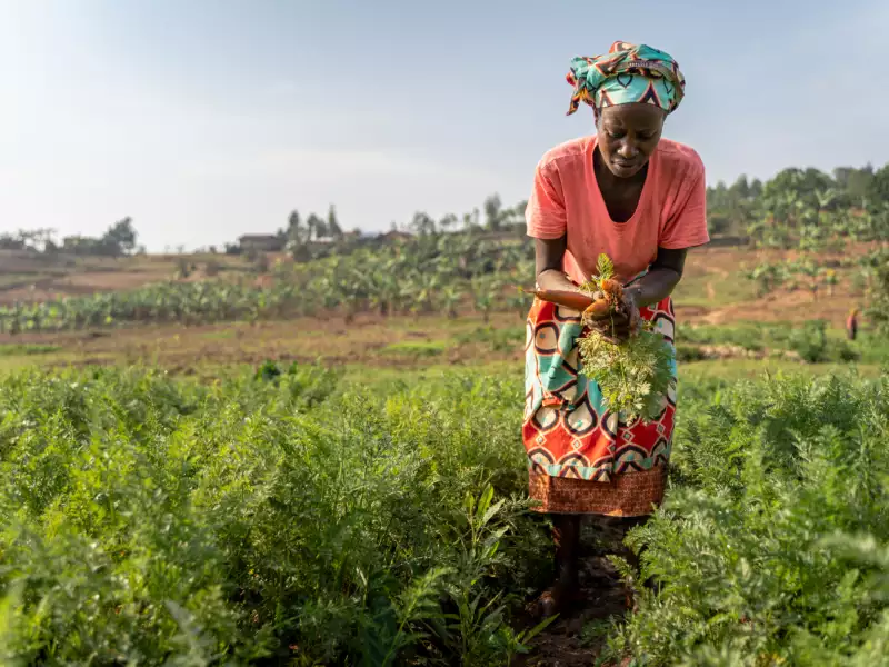 Ausblick auf ein wirkungsvolles Kampagnenjahr 2026: Ernährung sichern und Hunger beenden