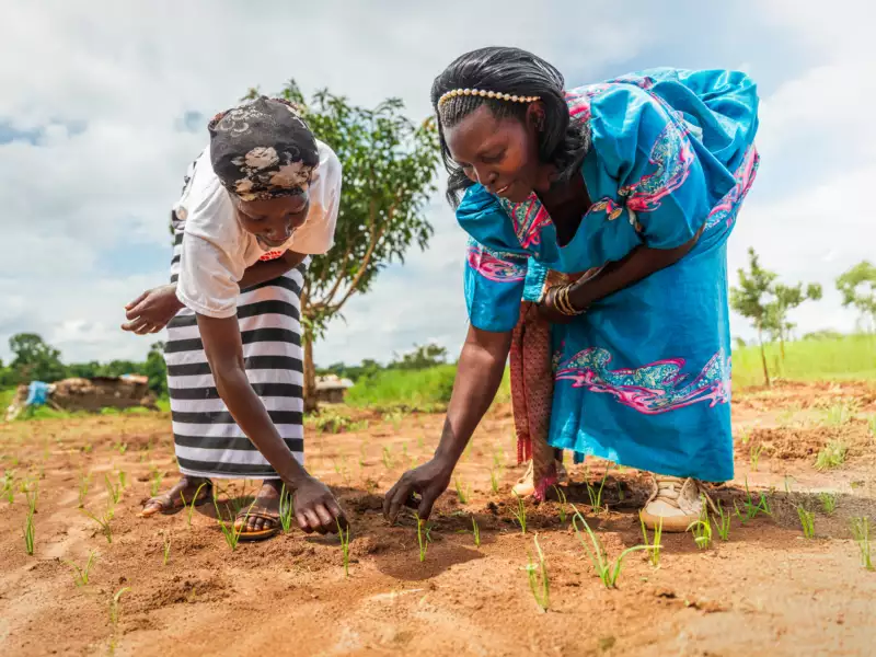 Projektschwerpunkt 2: Gemeinsam gegen Hunger: Solidarische Kooperativen in Ruanda & Uganda stärken