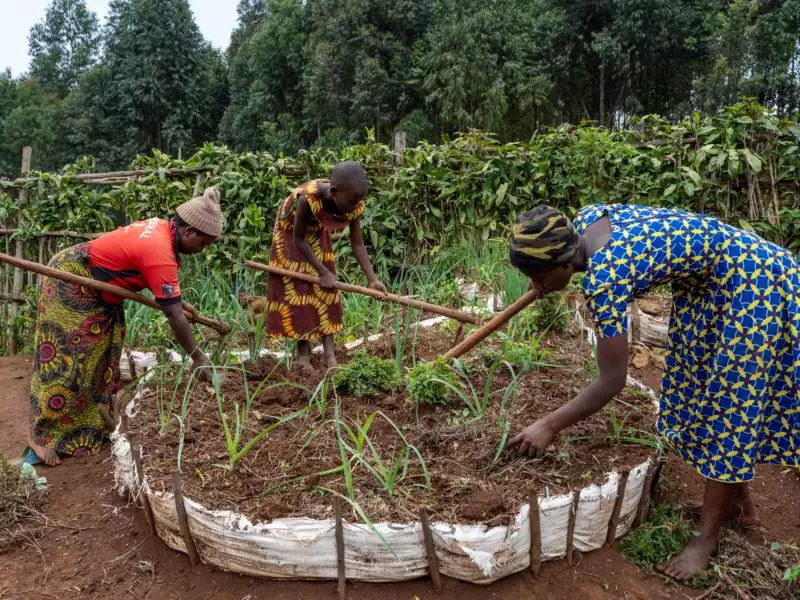 Projektschwerpunkt 1: Zukunft säen: Ökologische Landwirtschaft zur Ernährungssicherung in Ruanda & Uganda