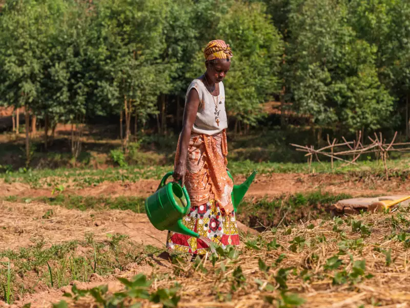 UN-Nachhaltigkeitsziel 2 im Fokus
